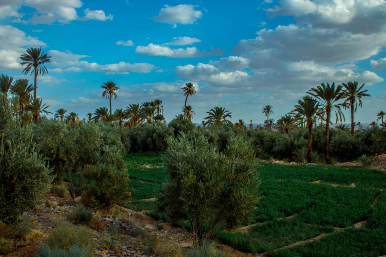 Hotel Kasbah Les Nomades à Skoura Extérieur photo
