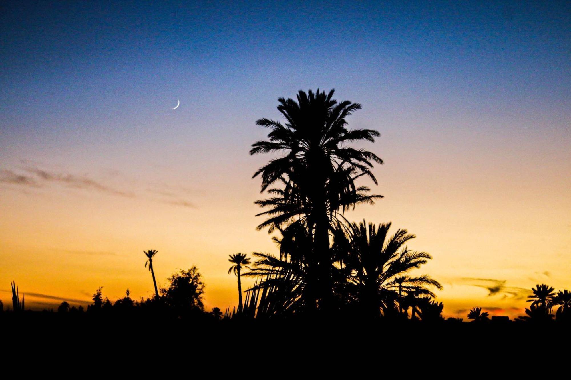 Hotel Kasbah Les Nomades à Skoura Extérieur photo